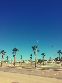 Palm trees against clear blue sky