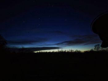 Low angle view of silhouette trees against sky at night