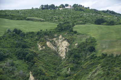 High angle view of trees on landscape against sky