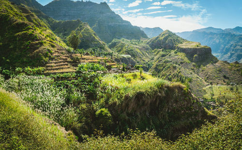 Scenic view of landscape and mountains