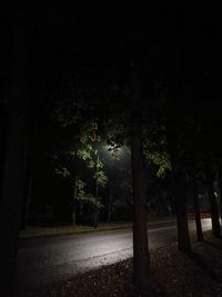 Trees on landscape at night