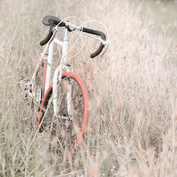 Bicycle on field