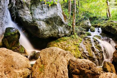 Scenic view of waterfall in forest