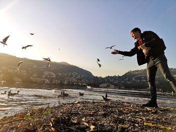 Man standing with birds flying at beach