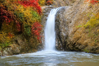 Scenic view of waterfall in forest