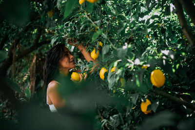 Full length of woman holding orange tree