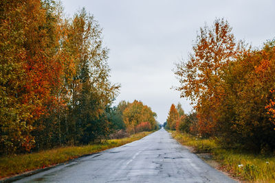 Empty road among the autumn forest and yellow trees. selective focus