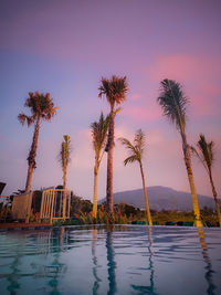 Palm trees by swimming pool against sky during sunset