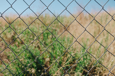 Detail shot of fence against landscape