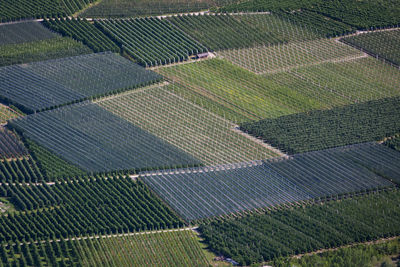 Full frame shot of agricultural field