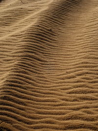 Full frame shot of sand dune in desert