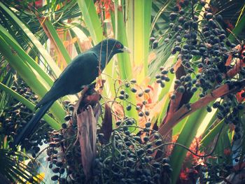 Bird perching on branch