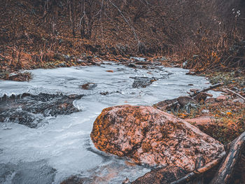 River flowing through rocks in forest