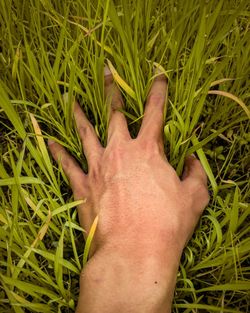 Low section of woman legs on field