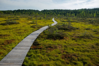 Scenic view of landscape