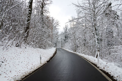 Snow covered bare trees against sky