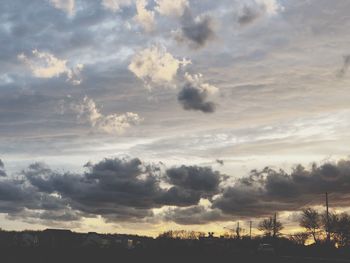 Low angle view of silhouette trees against sky