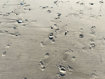 High angle view of footprints on sand at beach