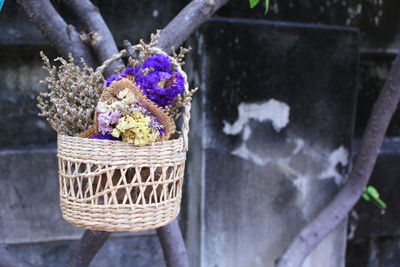 Close-up of flowers hanging in basket