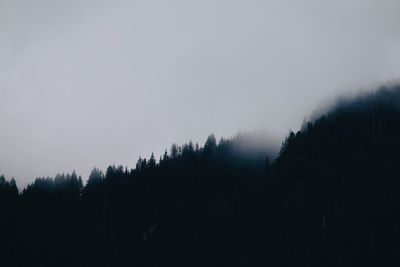 Silhouette trees in forest against sky during foggy weather