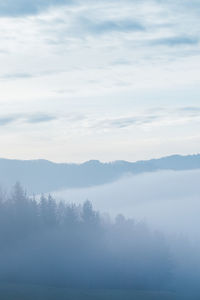 Scenic view of trees and mountains against sky