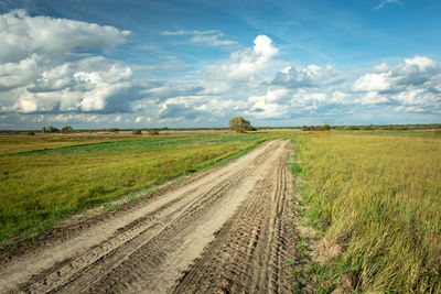 Traces of wheels on a sandy road through green fields, horizon and white clouds on the blue sky