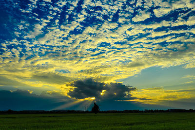 Scenic view of field against sky during sunset