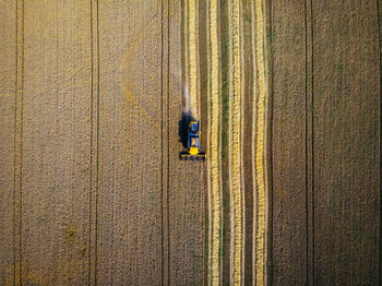 Aerial view of tractor on field