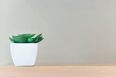 Close-up of potted plant on table against wall