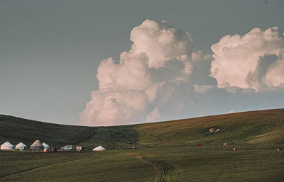 Scenic view of field against sky