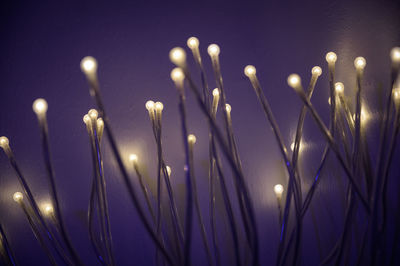 Close-up of illuminated lights at night