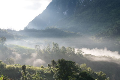 Scenic view of trees and mountains against sky