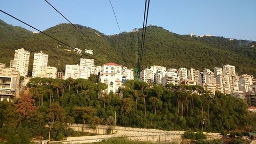 Trees and mountains against clear sky