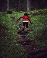 Rear view of man in the forest