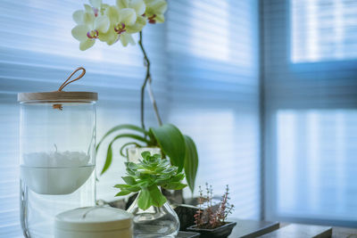 Close-up of flowers in vase on table