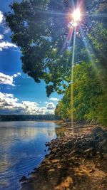 Sun shining over trees against blue sky