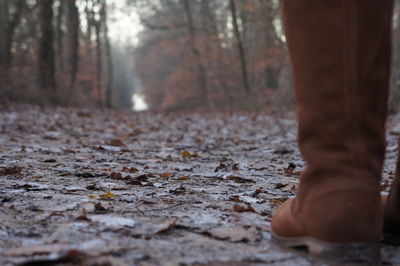 Low section of man standing in forest