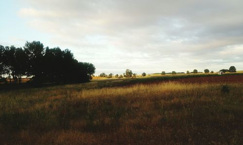 Scenic view of grassy field against cloudy sky