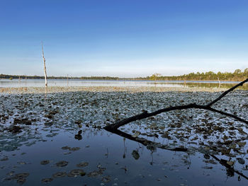 Scenic view of lake against clear blue sky