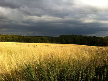 Scenic view of field against cloudy sky