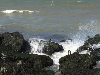 High angle view of sea shore