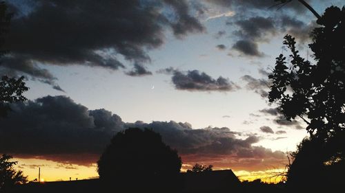 Low angle view of silhouette trees against sky