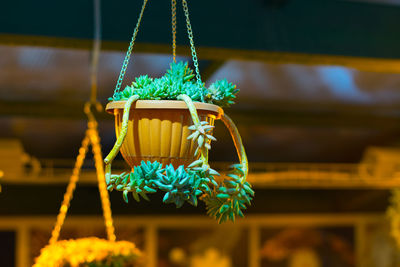 Close-up of yellow decoration hanging outdoors