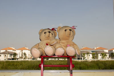 Two bears show love on valentine's day.