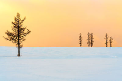 Tree on snow covered field against sky during sunset