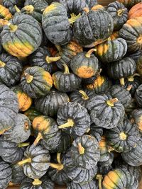 Full frame shot of pumpkins