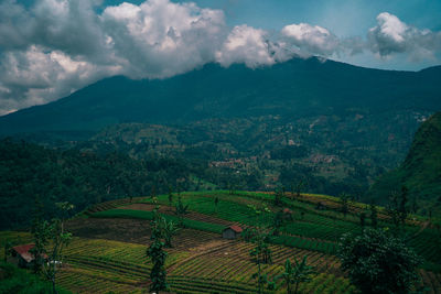 Scenic view of landscape against sky