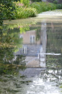 View of a lake