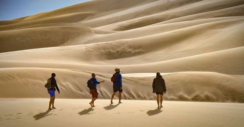 Rear view of people walking on sand dune