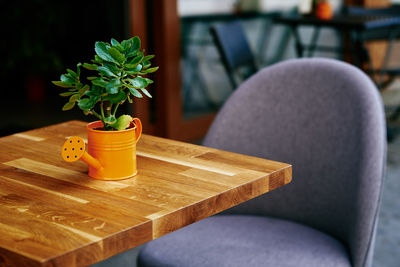 Close-up of potted plant on table at home